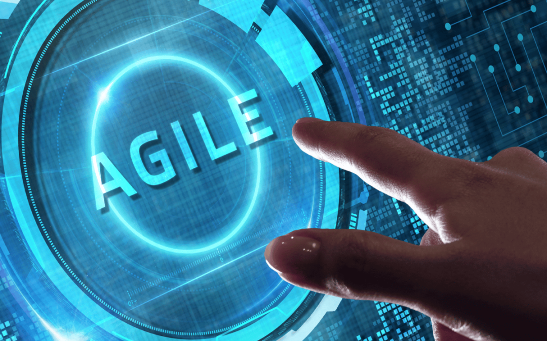 DE KRACHT VAN AGILE WERKEN